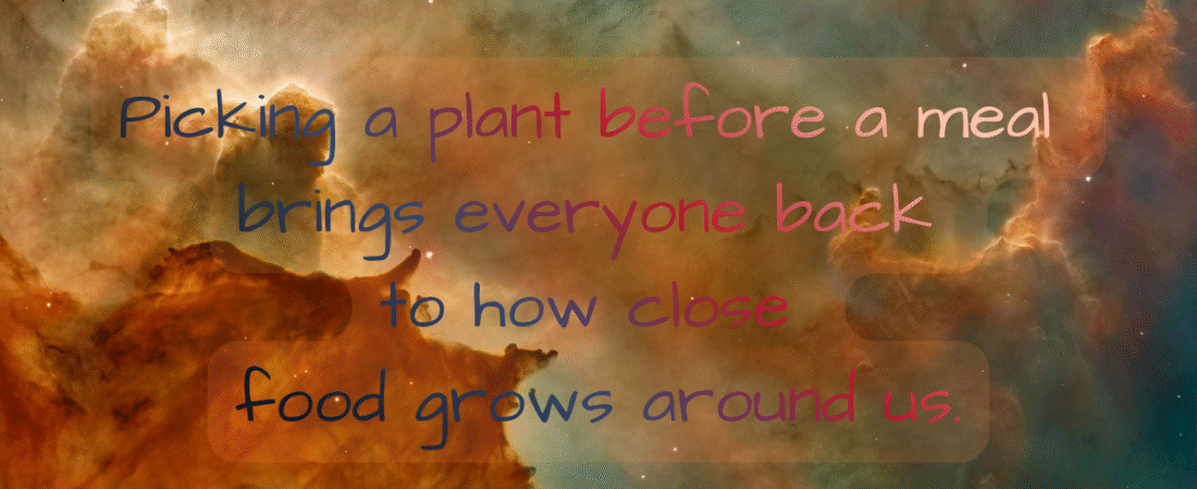 Exploring the Connection Between Food, Spirituality, and Nature